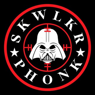 Логотип канала skwlkrphonk