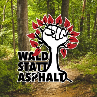 Логотип канала waldstattasphalt_info