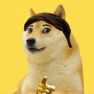 Логотип канала bettercall_doge