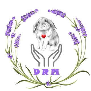 Логотип канала drm_irina