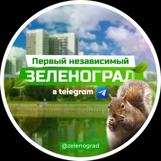 Логотип zelenograd