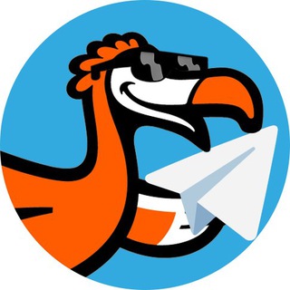 Логотип канала dodosamara