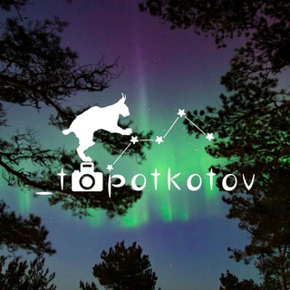 Логотип канала topotkotov_photo