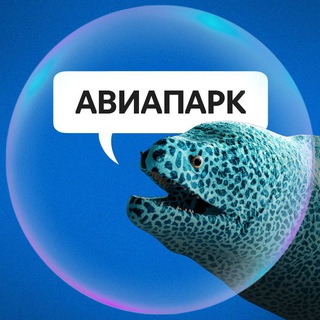 Логотип канала aviaparkmsk