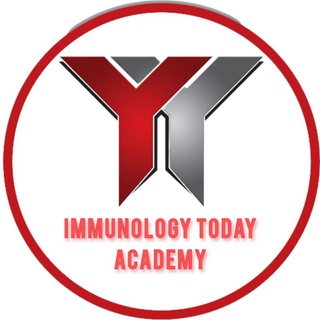 Логотип канала immtodayacademy