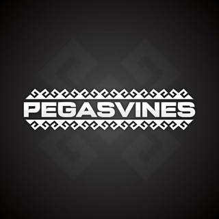 Логотип pegasvines