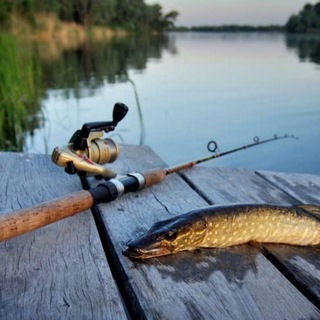 Логотип канала fishing161vlad