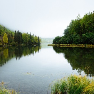 Логотип ecologia_medioambiente