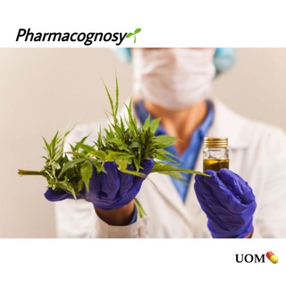 Логотип канала pharmacognosy2st