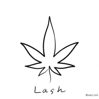 Логотип канала weed_lash