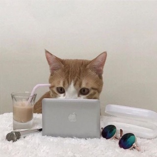 Логотип канала englishcats