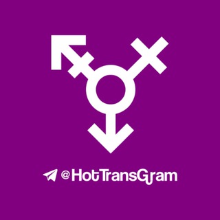 Логотип канала hottransgram