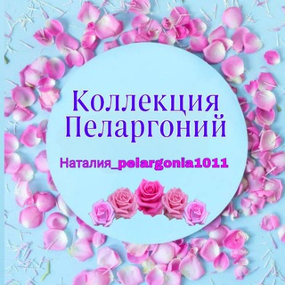 Логотип канала pelargonia10