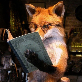 Логотип канала books_foxi