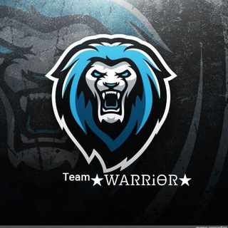 Логотип team_warrior2k