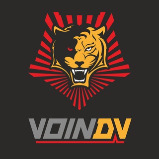 Логотип канала voin_dv