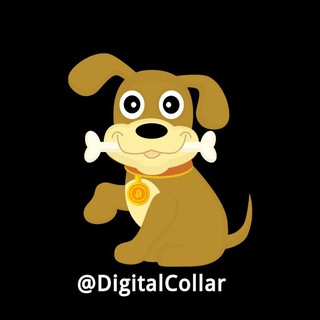 Логотип канала digitalcollar