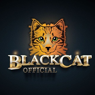 Логотип blackcatofficial