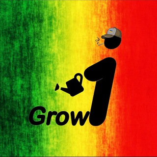 Логотип канала igrow_ams