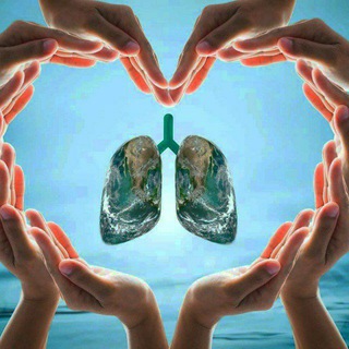 Логотип respiratory_care_global