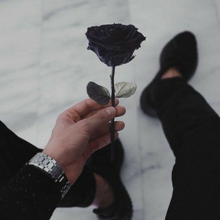 Логотип канала rostov_chat61