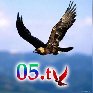 Логотип o5_tv