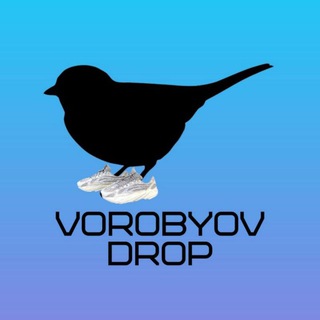 Логотип канала vorobyov_drop