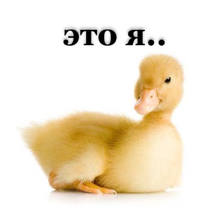 Логотип канала eto_ya210