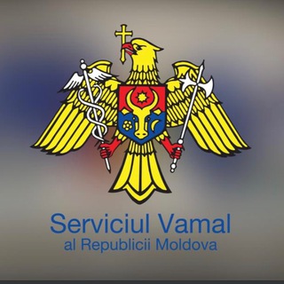 Логотип канала serviciulvamalrm