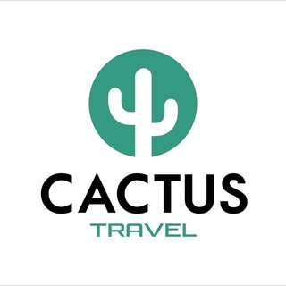 Логотип cactus_travel_uz