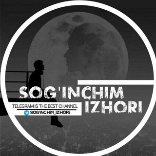 Логотип канала sognchim_izhori