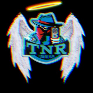 Логотип tnr_team_no_real