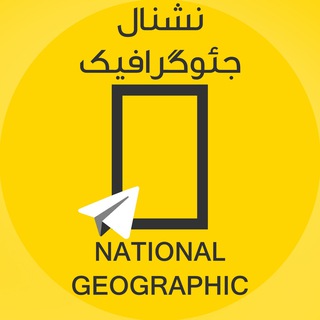 Логотип канала nationalgeographic