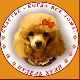 Логотип канала poodlehelp1