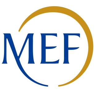 Логотип канала mef_gov