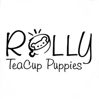 Логотип rollypups