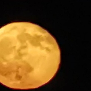 Логотип канала lunanazume