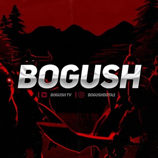 Логотип bogushtv