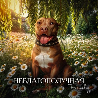 Логотип канала ysimagrc