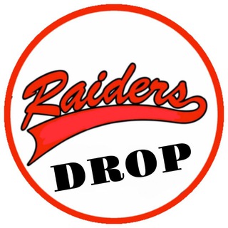 Логотип канала raiders_drop