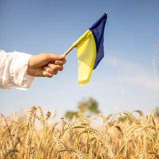 Логотип канала AAAAAE2gEB2zvRz7qhL9lA
