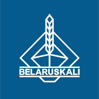 Логотип канала belaruskali