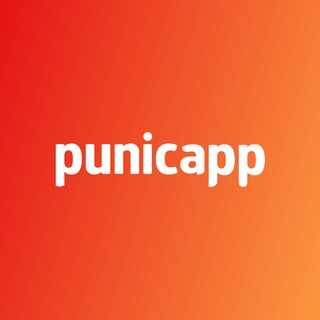 Логотип канала punicapp_dev