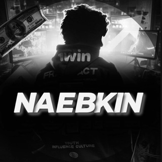 Логотип канала naebkingg