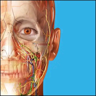 Логотип канала human_anatomy_atlas_2019