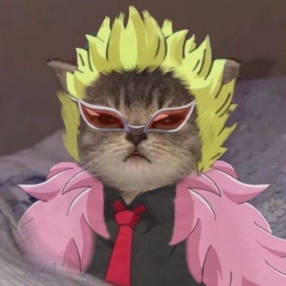 Логотип канала anidataa