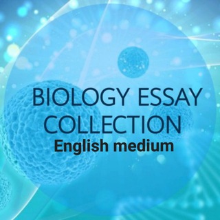 Логотип englishmedium_essay