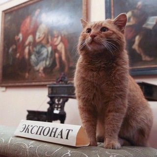Логотип канала Histoire_de_la_merd