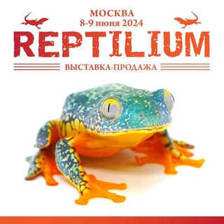 Логотип канала reptilium_official