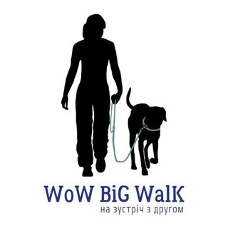 Логотип канала wowbigwalk